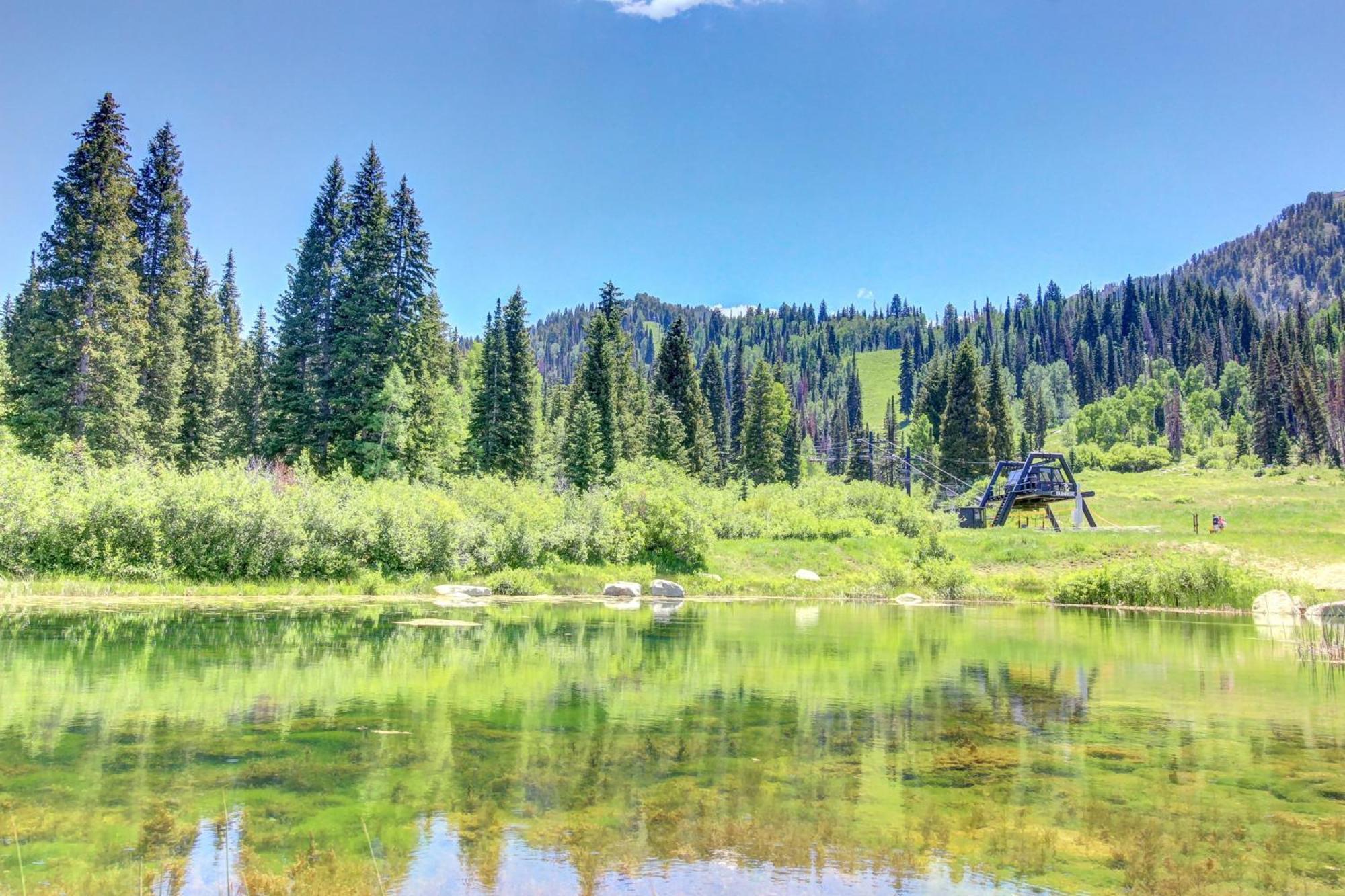 Eagle Springs East 315: Osprey Suite Solitude 外观 照片
