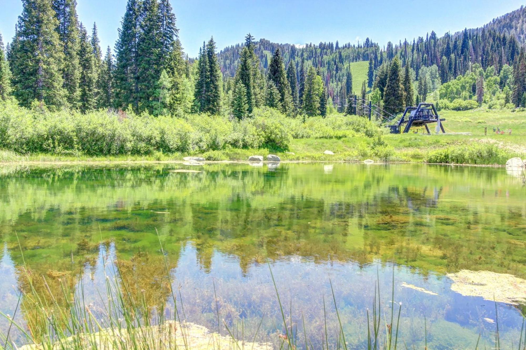 Eagle Springs East 315: Osprey Suite Solitude 外观 照片